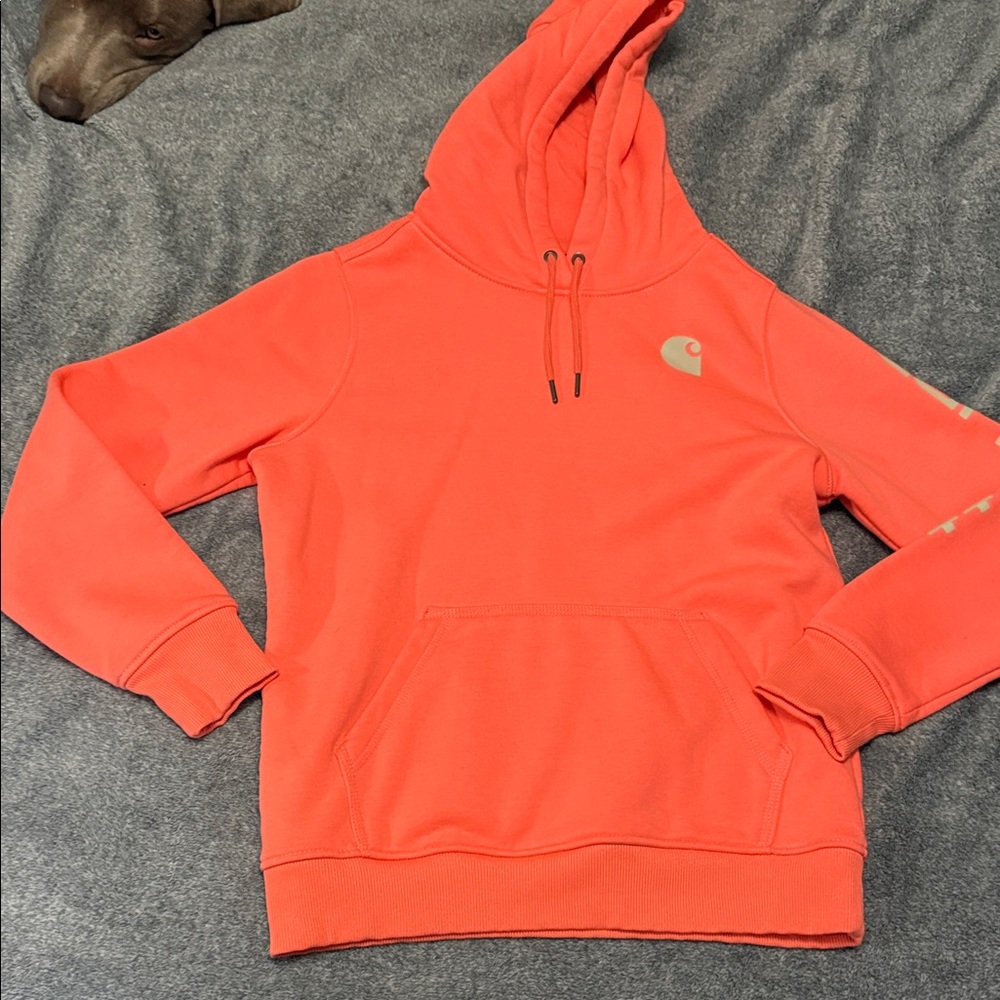 Carharrt Hoodie NWOT